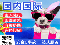 柳州机场托运国际宠物托运 【国